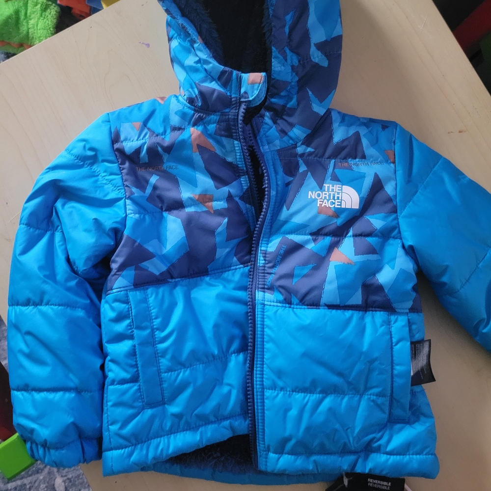 The North Face Blue Puffer Jacket